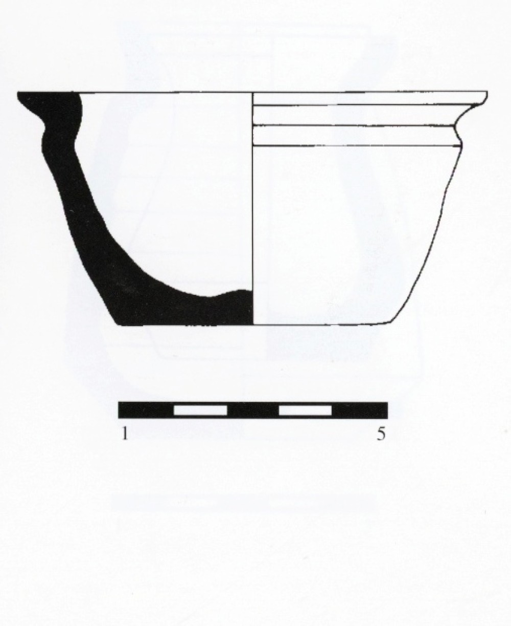 alus006 - copia.jpg